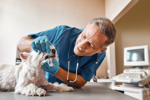 Best Root Canal Emergency Dentist  in Hugoton, KS
